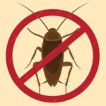 Cara Mengolah Lidah Buaya Menjadi Minuman Enak dan Segar