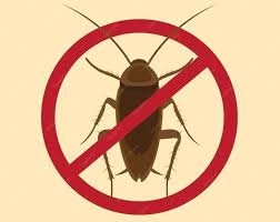 cara agar rumah bebas dari kecoa